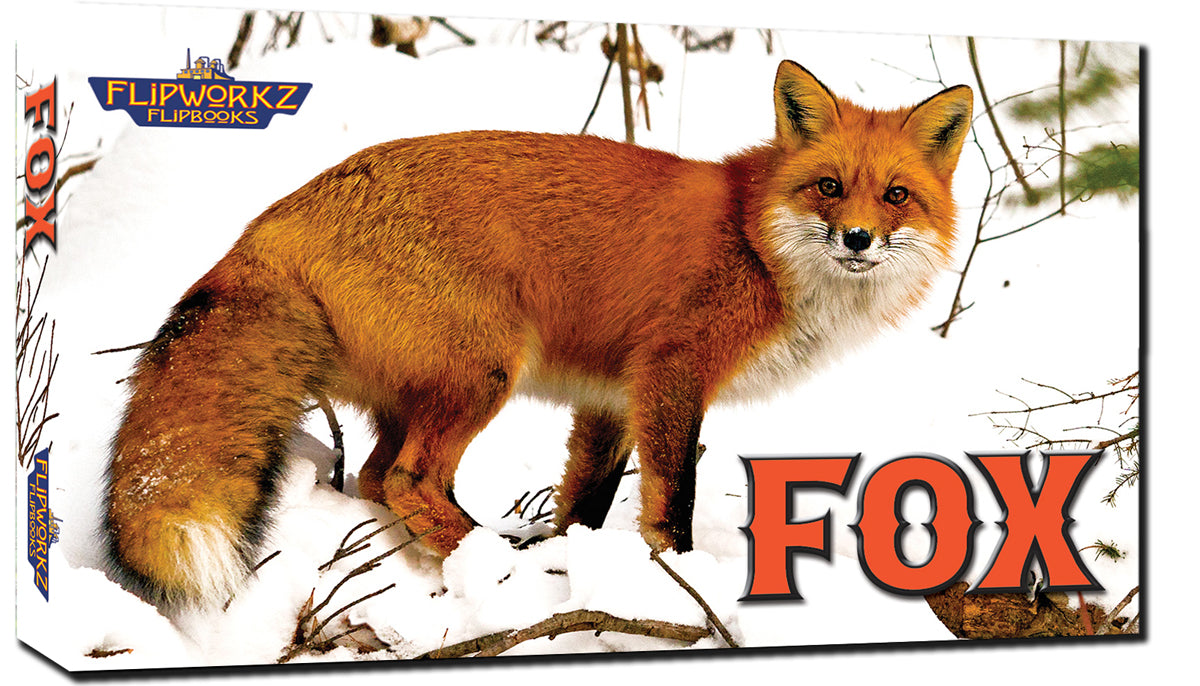 Fox Educational Wildlife Flipbook – Flipworkz Flipshop