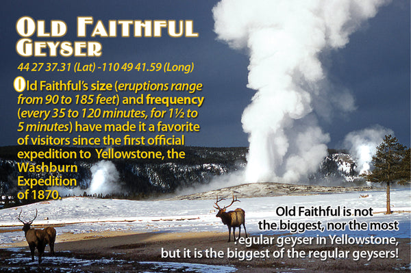 Yellowstone's Old Faithful Flipbook