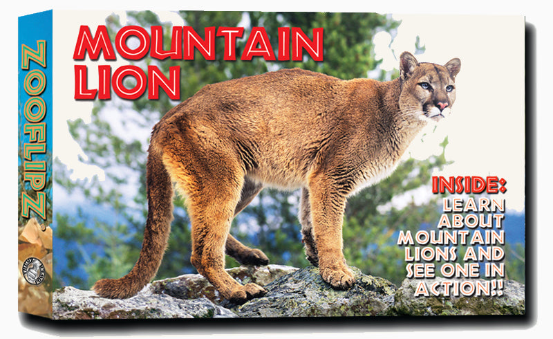 (未使用･未開封品)Wildlife: Raccoon Mountain Lion Fishing Animals [DVD] Mountain Lion Educational Wildlife Flipbook – Flipworkz Flipshop