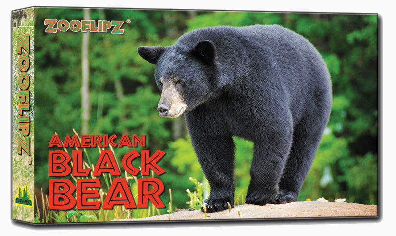 kickbookbearページ Black Bear Educational Wildlife Flipbook – Flipworkz Flipshop