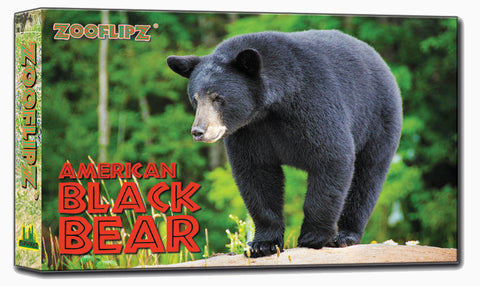 Black Bear Flipbook front cover