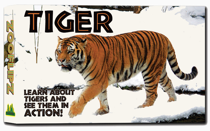 Tiger Tribe Flip Book Kit Animation In Action — Kidstuff