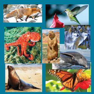 Happy International Biological Diversity Day!