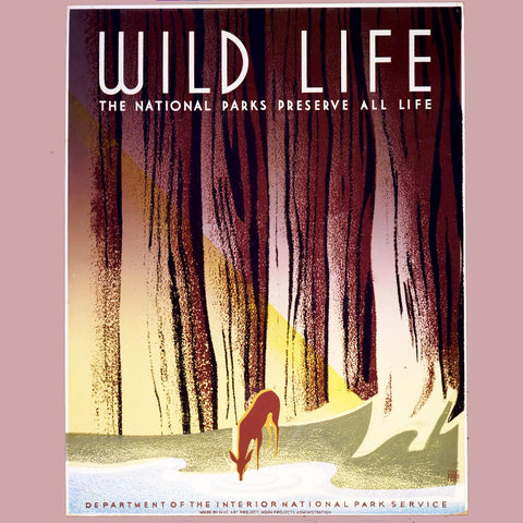 Happy National Park Week!