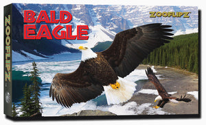 Bald Eagle Educational Flipbook
