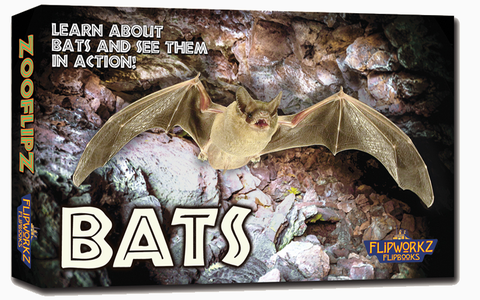 Bat Educational Flipbook front cover 