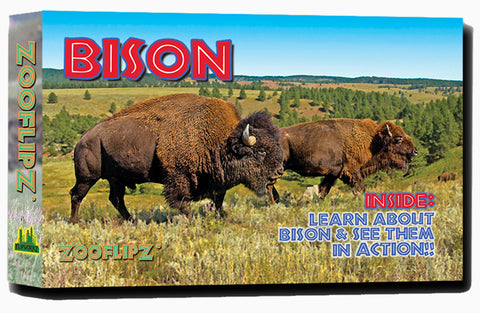 Bison Flipbook front cover photo
