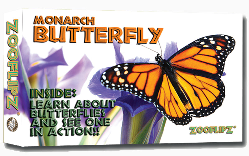 Butterfly Educational Wildlife Flipbook – Flipworkz Flipshop