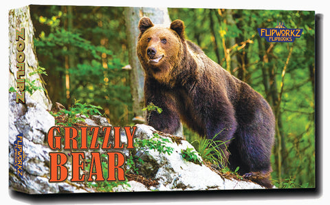 Grizzly Bear photo