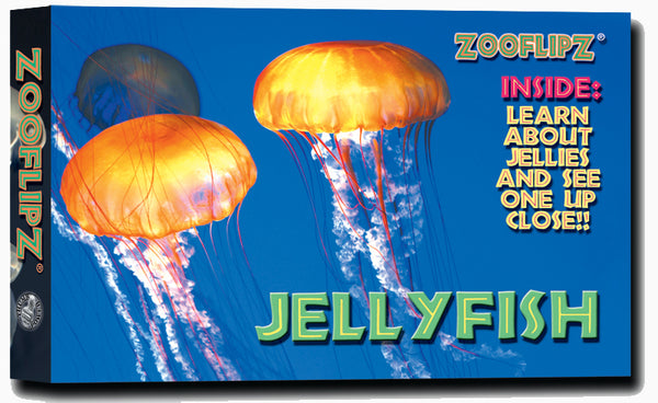 Jellyfish Flipbook front cover 