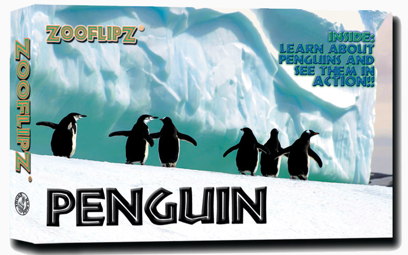 Cute penguins