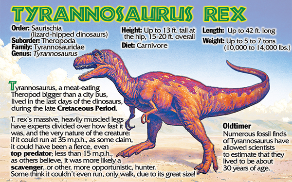 T. Rex fun facts
